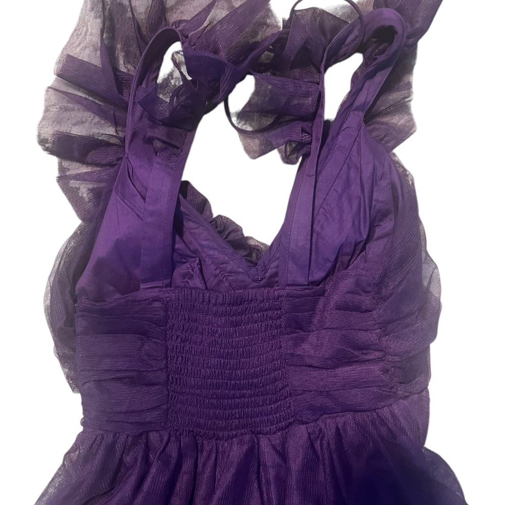 Anthropologie Ruffled Tulle‎ Mini Dress - Picture 9 of 16